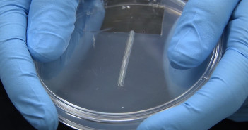 3D printers can print human body parts soon Liver tissue printed